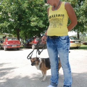 DSC_4939 DSC_4939