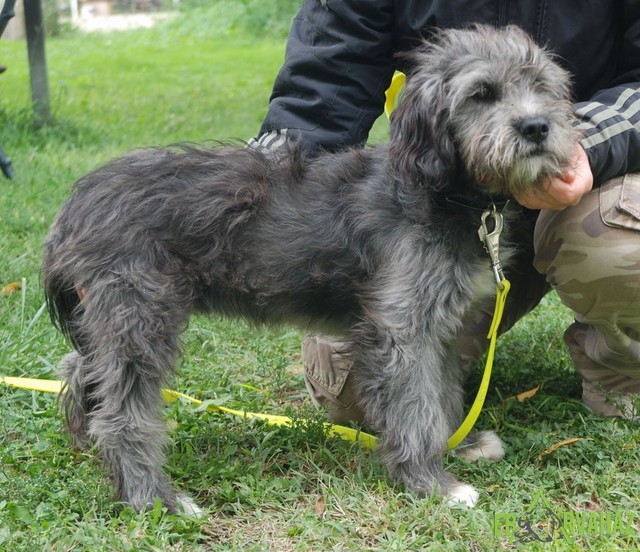 Cuki01