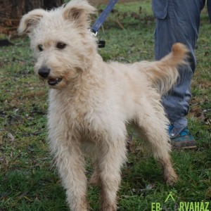 Bóbita05