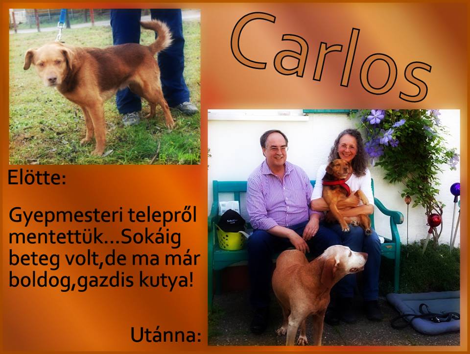 carlos