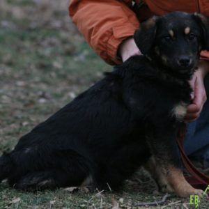 IMG_8179 IMG_8179