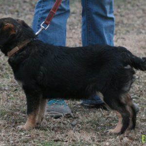 IMG_8261 IMG_8261