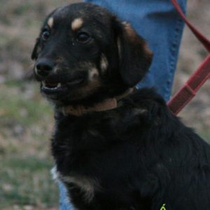 IMG_8289 IMG_8289