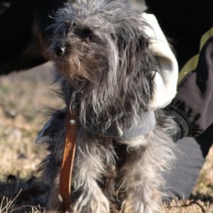 IMG_8526 IMG_8526