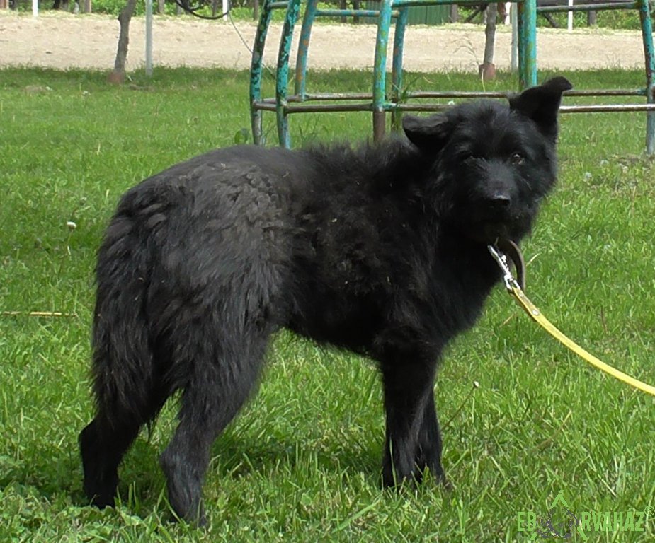 S1030034