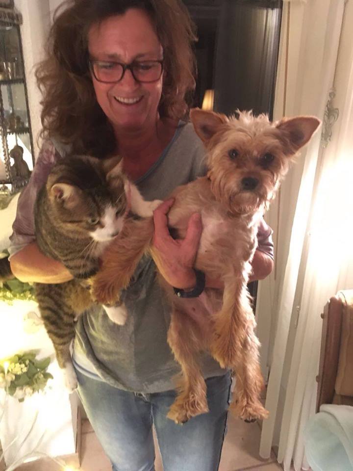 süti