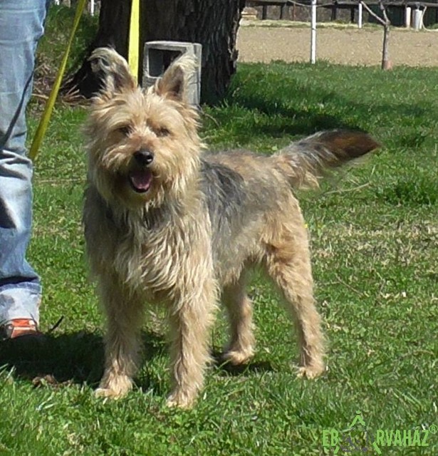 Strolchi01