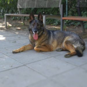 a5
