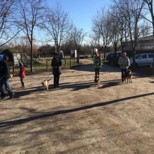 25276352_10215133269755629_1289103898_n 25276352_10215133269755629_1289103898_n