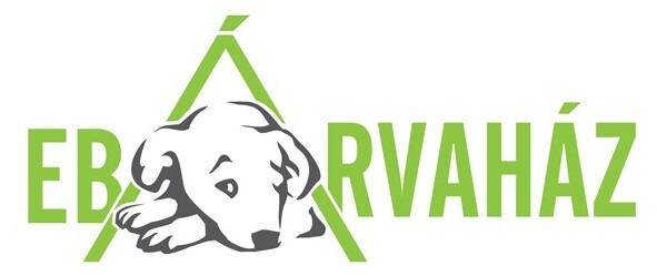 EbÁrvaház1