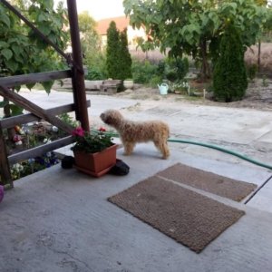 Panna3