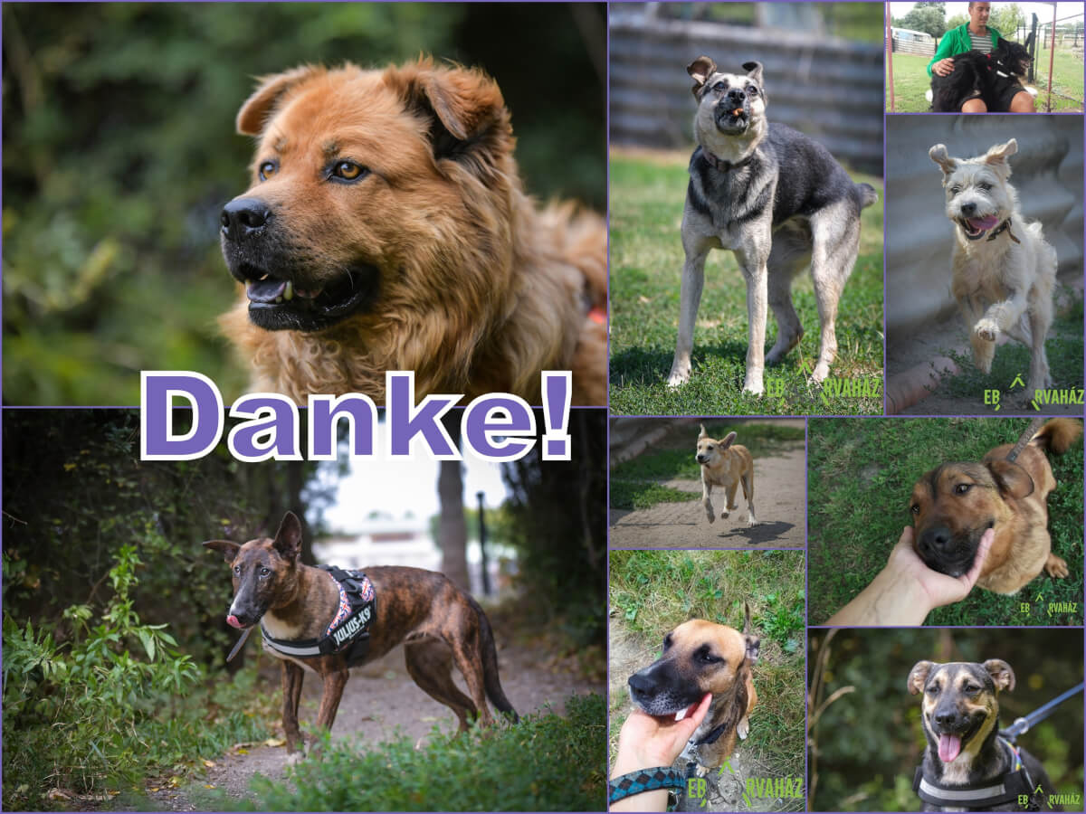 Danke_2019.08.