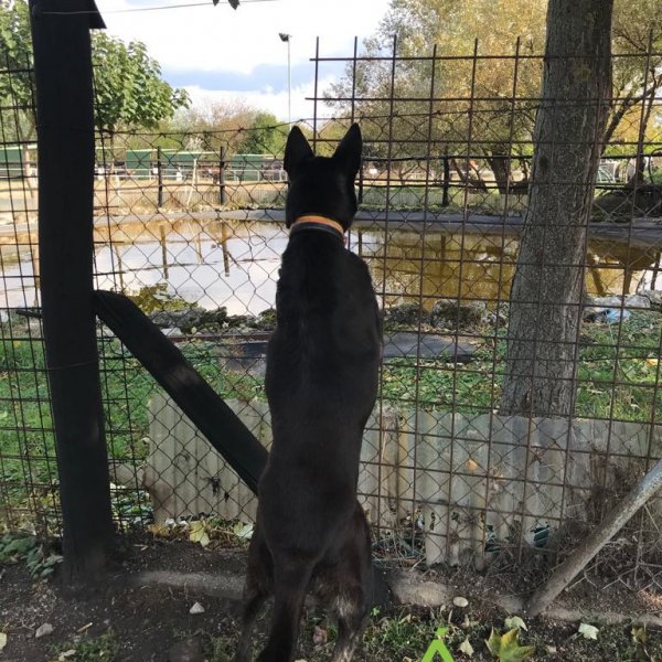 Rocky_2019.10.10.