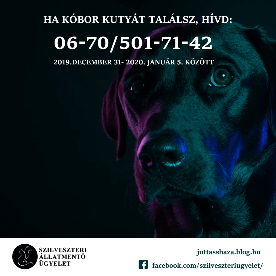 81245566_2629692263744793_1338085434592329728_n