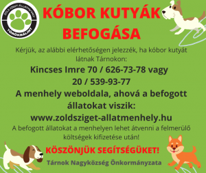 Tárnoki elveszett kutyák